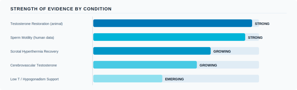 Figure 2: Current strength of evidence across conditions related to red light therapy and male hormonal health.